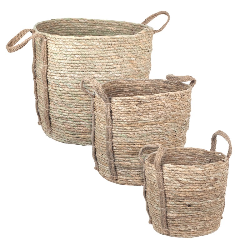 2 baúles + 3 cestas de mimbre teñidas (Juego de 5)