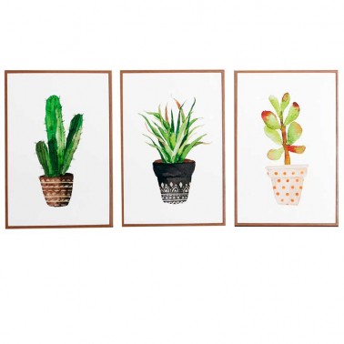 Conjunto de 3 Cuadros Cactus Lienzo Impreso  Cuadros