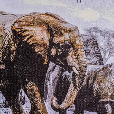 cuadros de elefantes