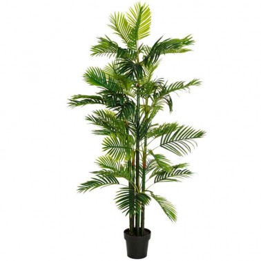 Planta artificial tipo palmera areca, de 170 cm de altura.